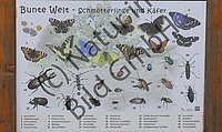 Infotafel Schmetterlinge im Schlosspark Neersen. Foto: NABU Willich