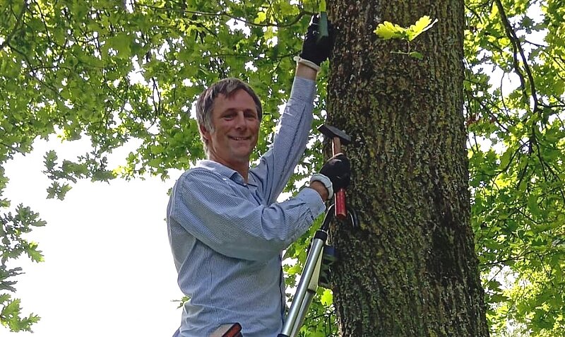 Fledermausexperte Dr. Steffen Fischer bei der Montage der Kästen. Foto: NABU Willich