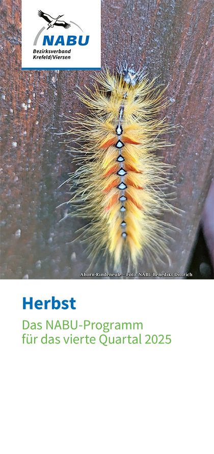 Quartalsprogramm 4/2025 Quartalsprogramm 4/2025